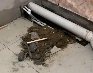 奎文卫生间漏水检测哪家好